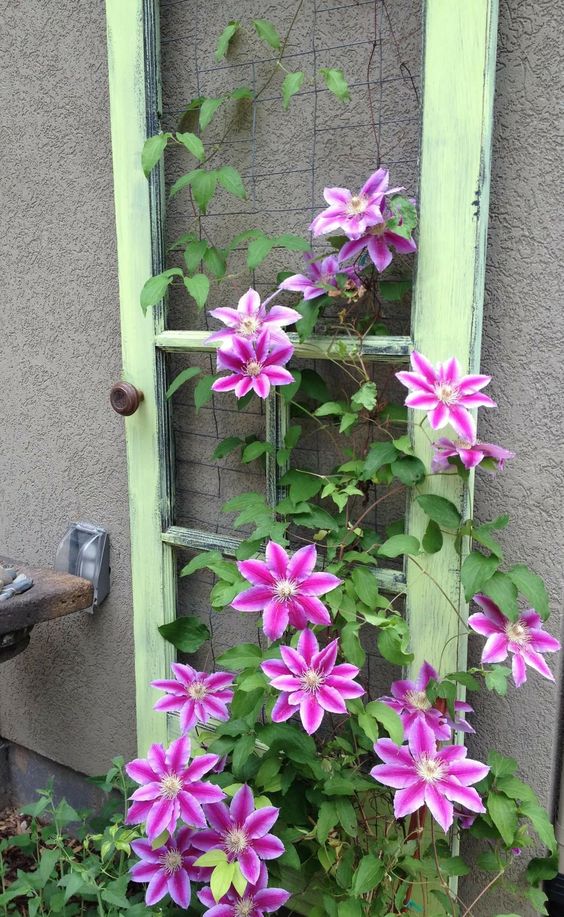 Stöd för klätterväxter och blommor tillverkade av återvunna element. Massor av geniala idéer