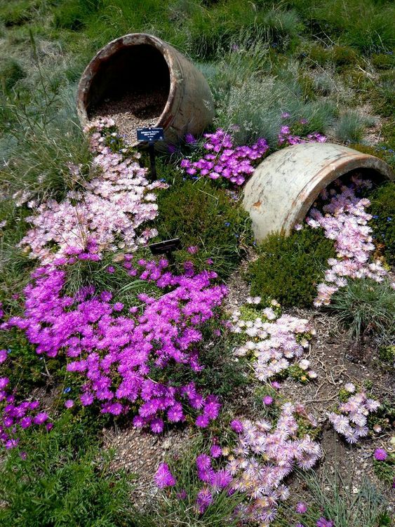 DIY-blomrabatter: massor av enkla idéer för din trädgård