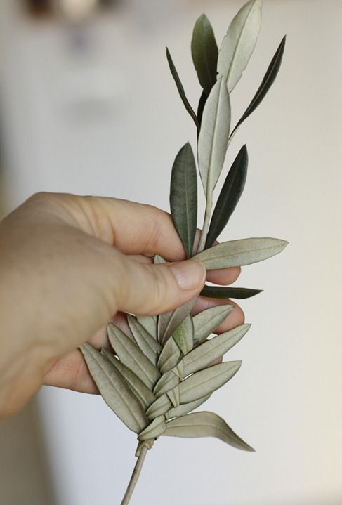 DIY Palm Sunday hantverk: många sätt att dekorera olivträdet