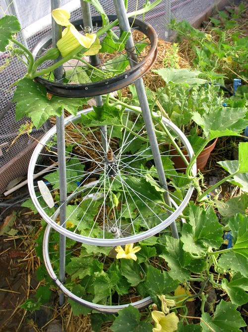 Stöd för klätterväxter och blommor tillverkade av återvunna element. Massor av geniala idéer