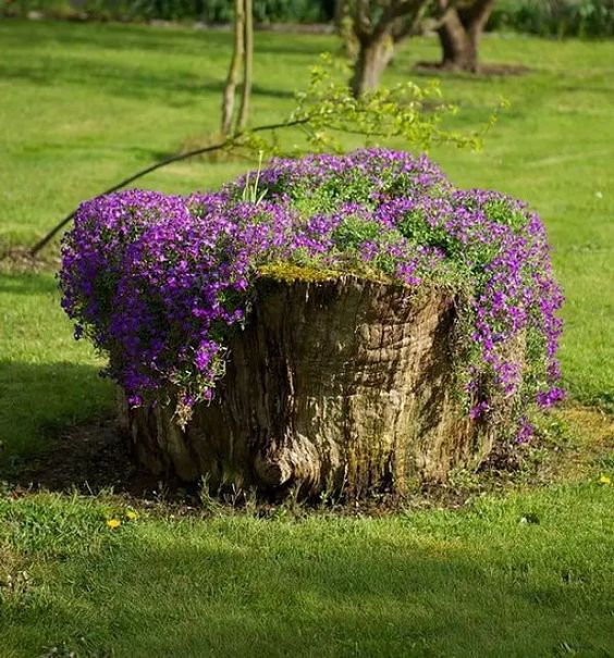 DIY-blomrabatter: massor av enkla idéer för din trädgård