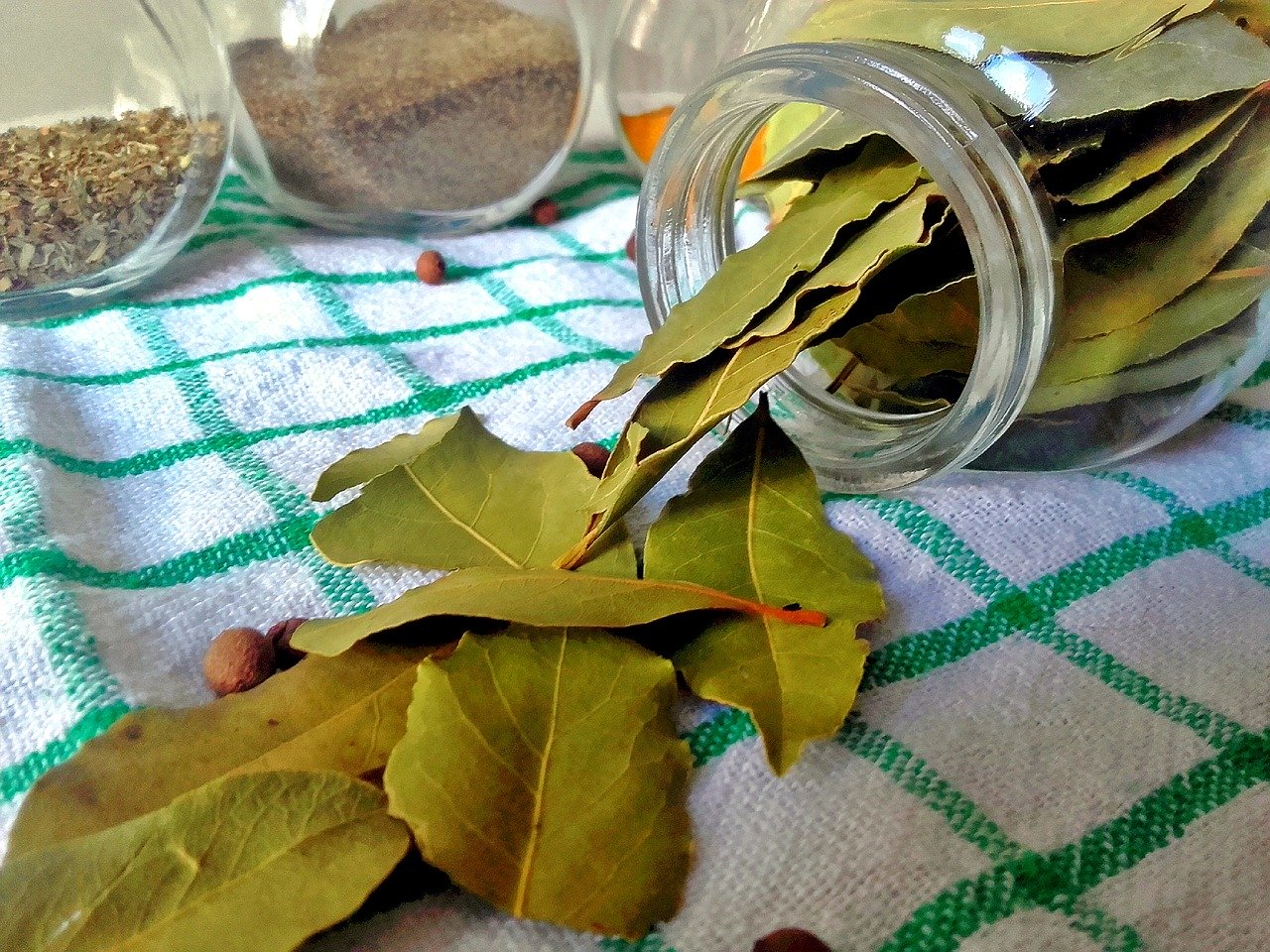 Släng bara några lagerblad i tvättnedkastet: Jag lärde mig detta råd av min mormor och har använt det i flera år, det fungerar garanterat!