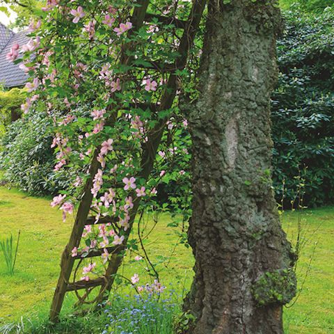 Stöd för klätterväxter och blommor tillverkade av återvunna element. Massor av geniala idéer