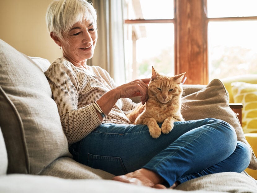 10 sätt att hålla huset rent även om du har hund eller katt