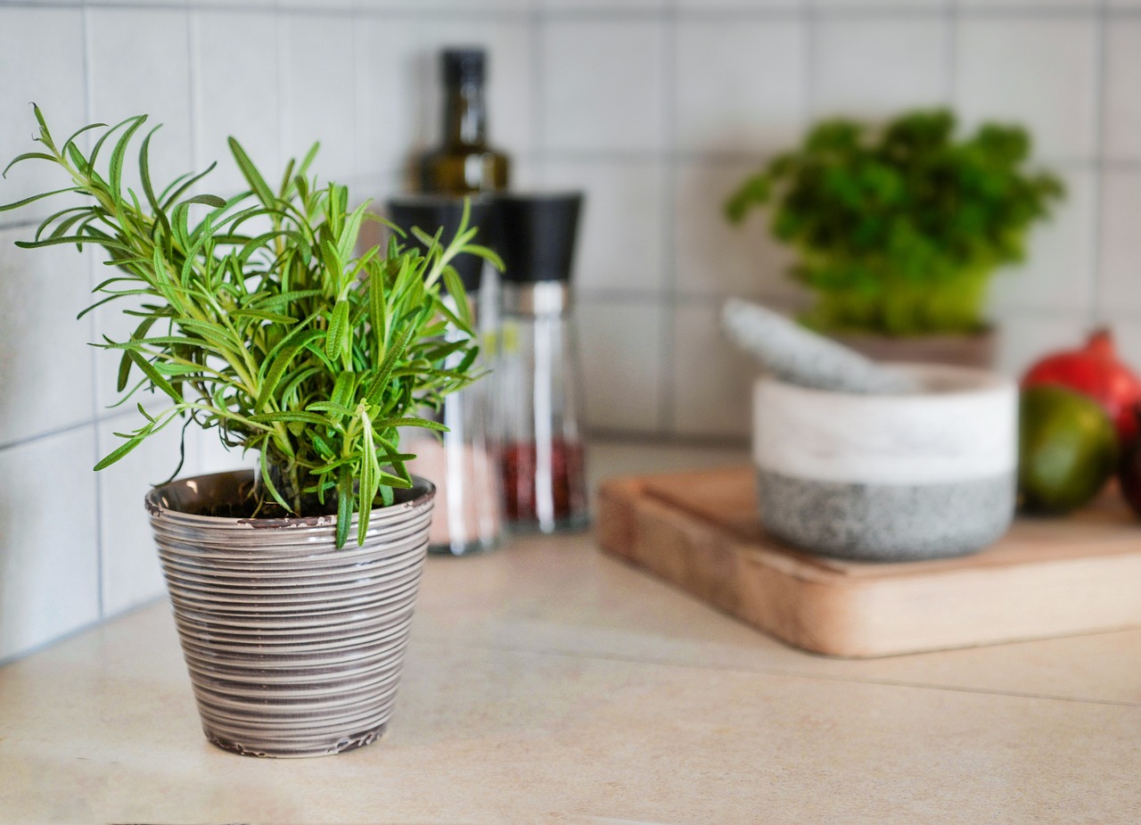 TRICK hur man kan bli av med råttor och möss i huset NATURLIGT med tandkräm: de kommer inte att komma nära huset längre!