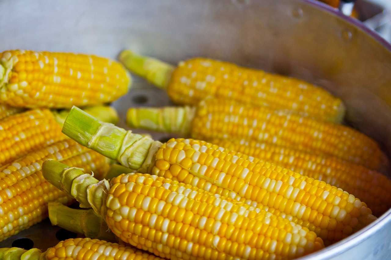 TRICK hur man kan bli av med råttor och möss i huset NATURLIGT med tandkräm: de kommer inte att komma nära huset längre!